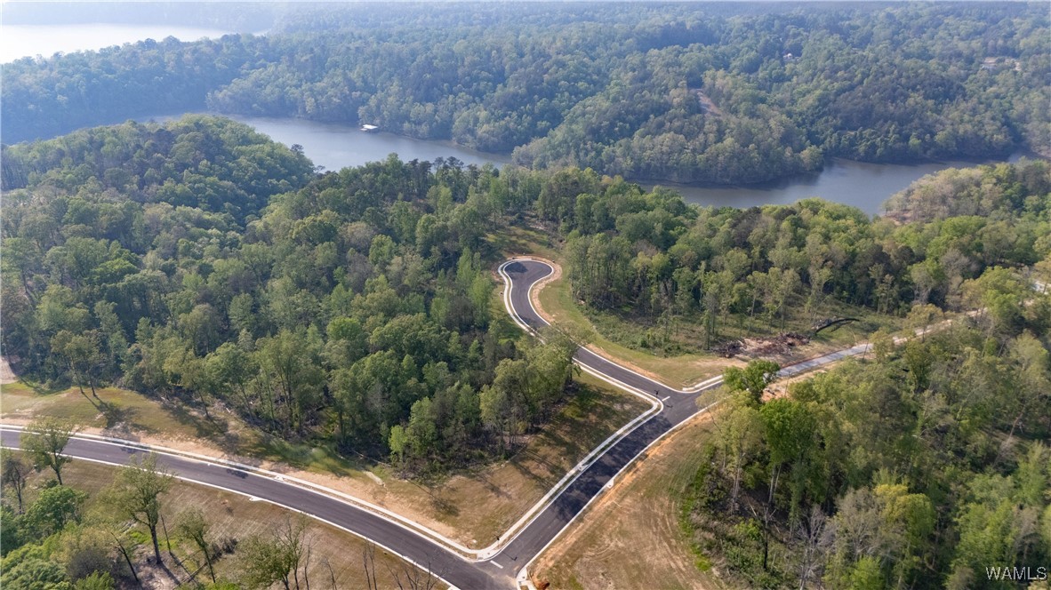 8 Lake Island Road Dr, Tuscaloosa, Alabama image 19