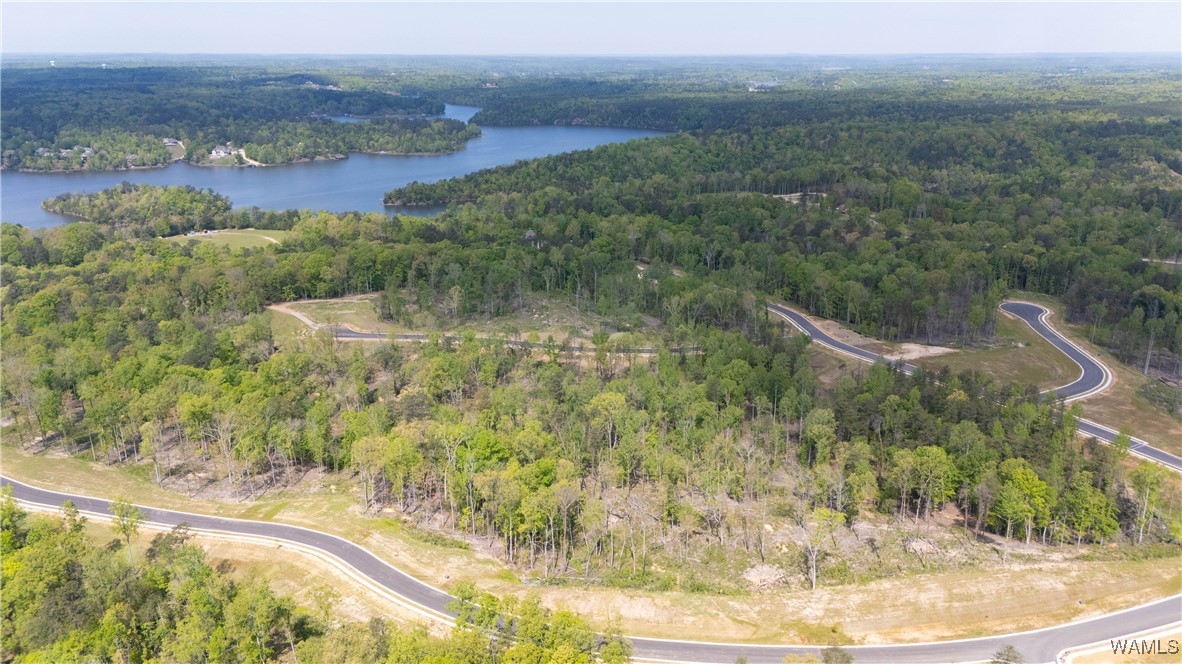 8 Lake Island Road Dr, Tuscaloosa, Alabama image 13