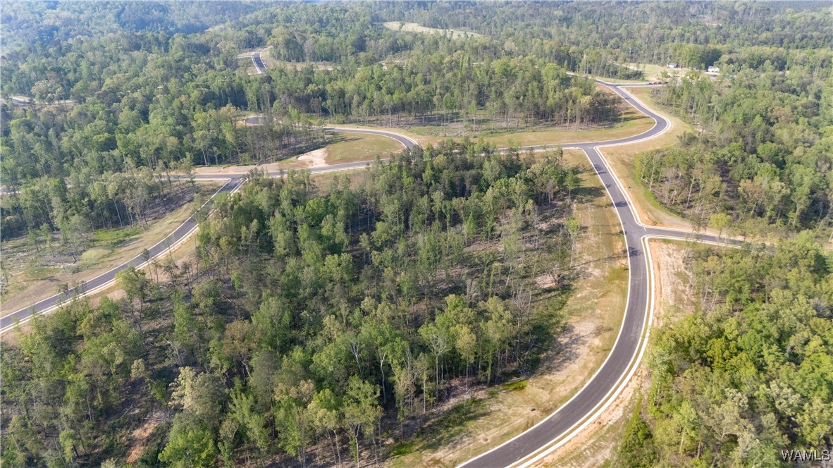 8 Lake Island Road Dr, Tuscaloosa, Alabama image 23