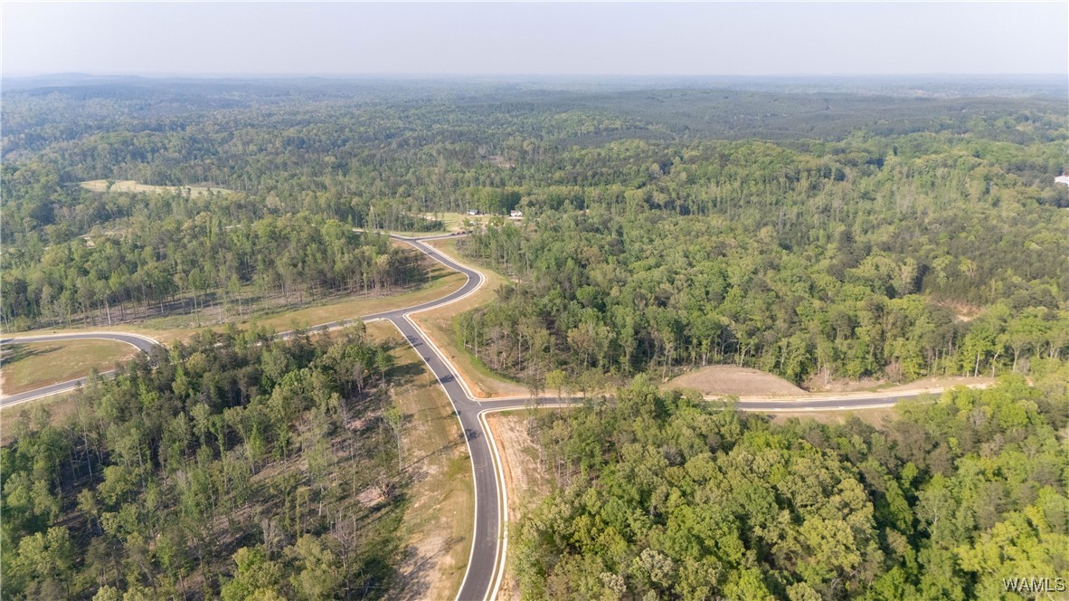 8 Lake Island Road Dr, Tuscaloosa, Alabama image 22