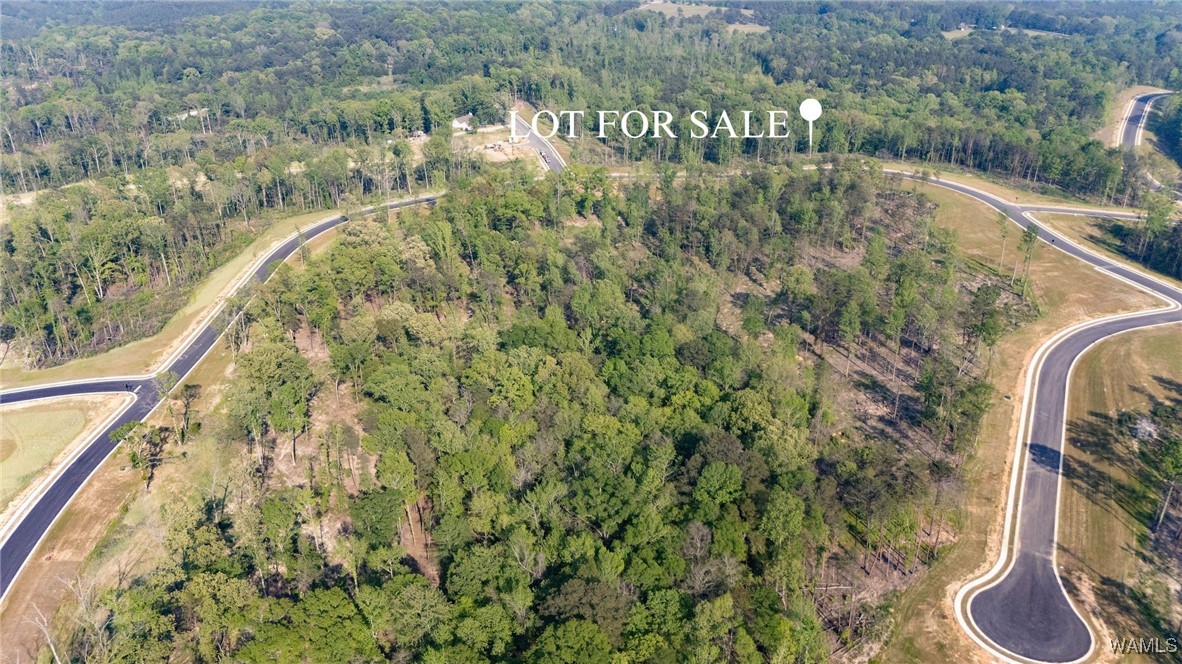 8 Lake Island Road Dr, Tuscaloosa, Alabama image 3