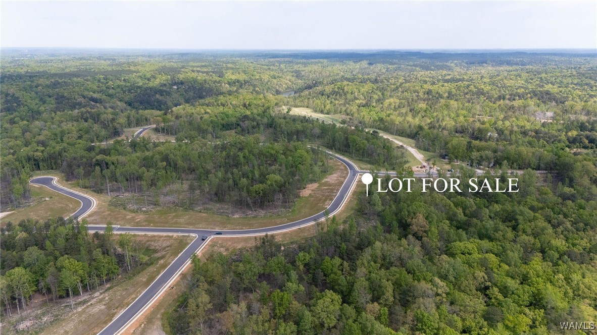 8 Lake Island Road Dr, Tuscaloosa, Alabama image 4