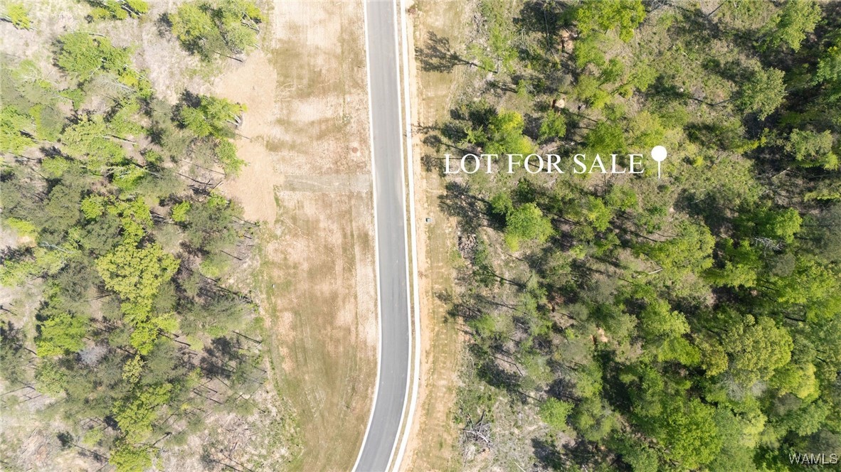 8 Lake Island Road Dr, Tuscaloosa, Alabama image 2