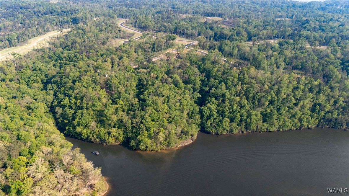 8 Lake Island Road Dr, Tuscaloosa, Alabama image 7