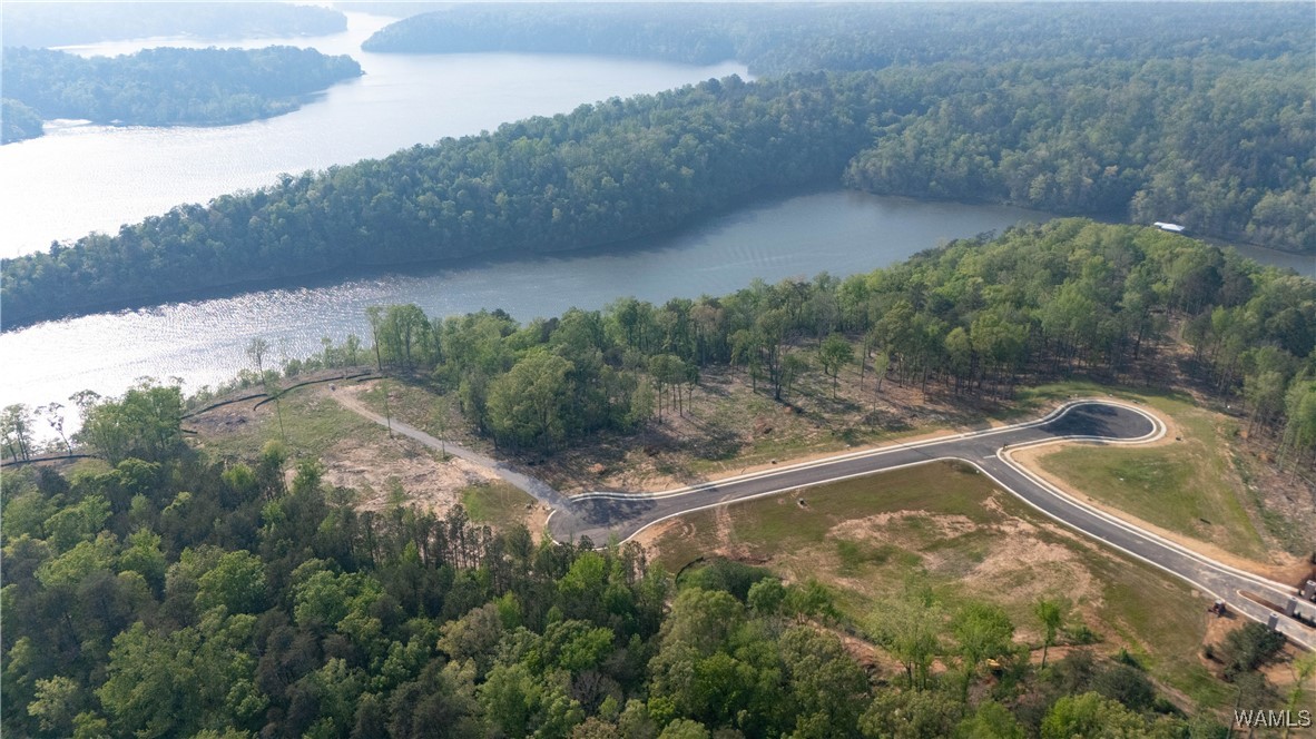 8 Lake Island Road Dr, Tuscaloosa, Alabama image 11