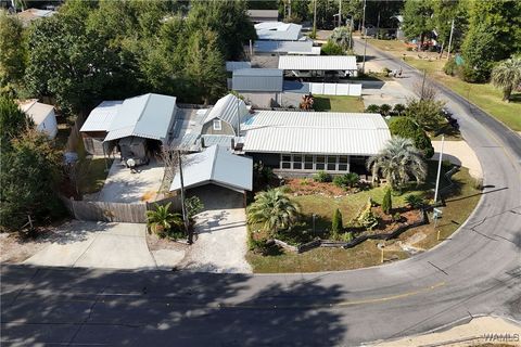 Homes For Sale - 495 Elberta Loop<br/> Lillian, AL 36549