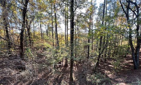 Vacant Land For Sale - LOT 5 Allison Drive<br/> McCalla, AL 