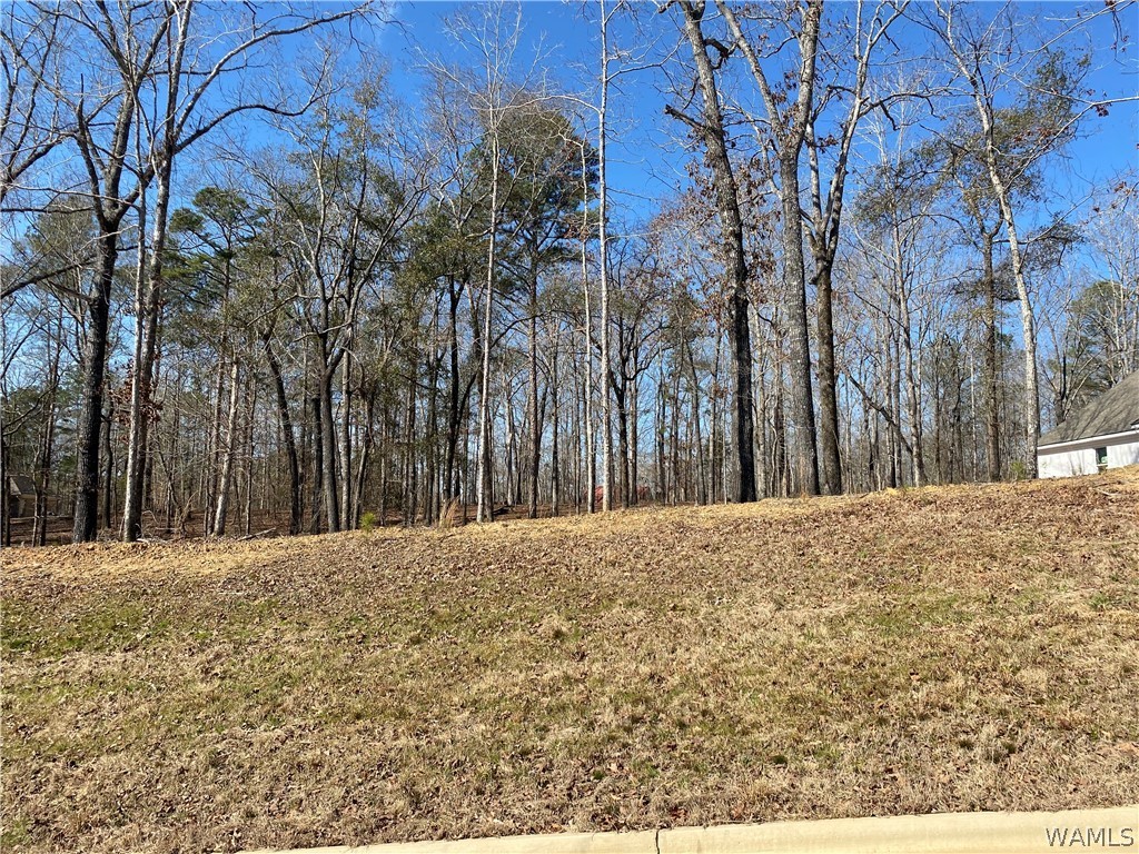 LOT#3 Edgewater Drive, North Port, Alabama image 3