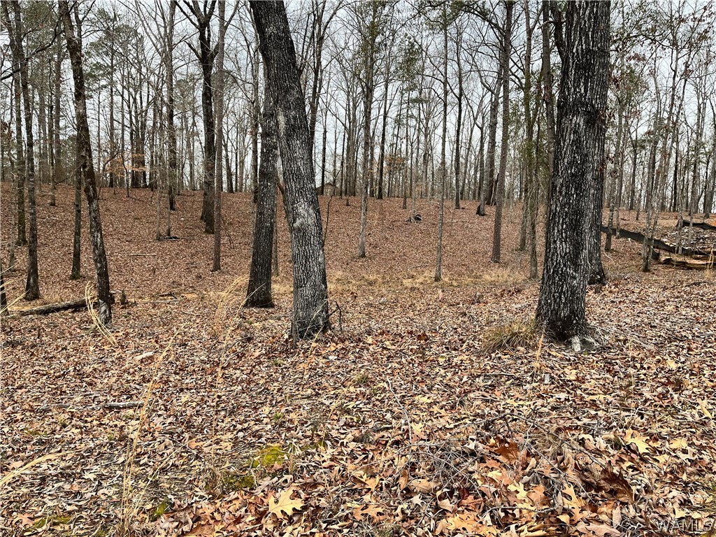 LOT#3 Edgewater Drive, North Port, Alabama image 4