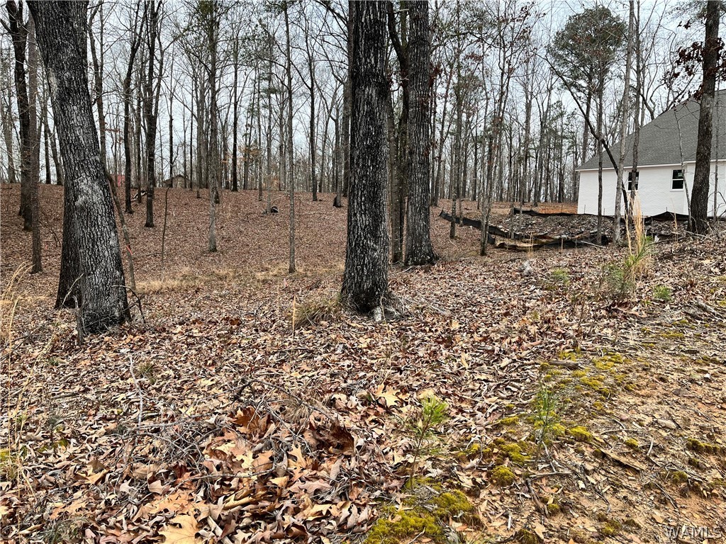 LOT#3 Edgewater Drive, North Port, Alabama image 5