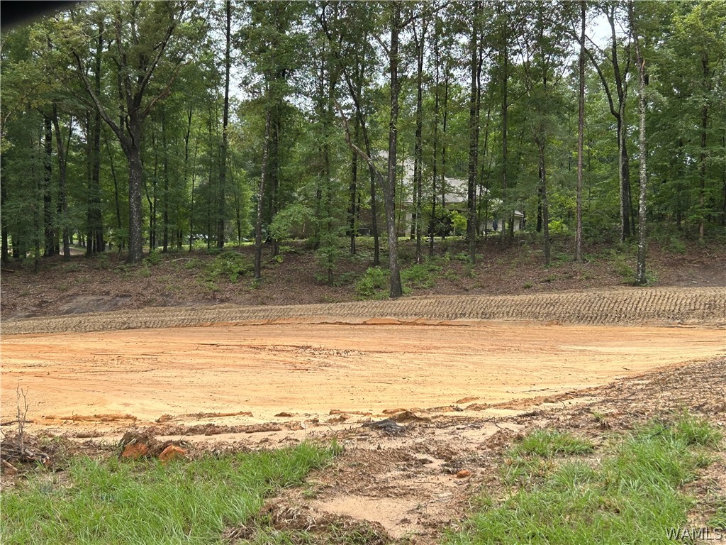 LOT#3 Edgewater Drive, North Port, Alabama image 2