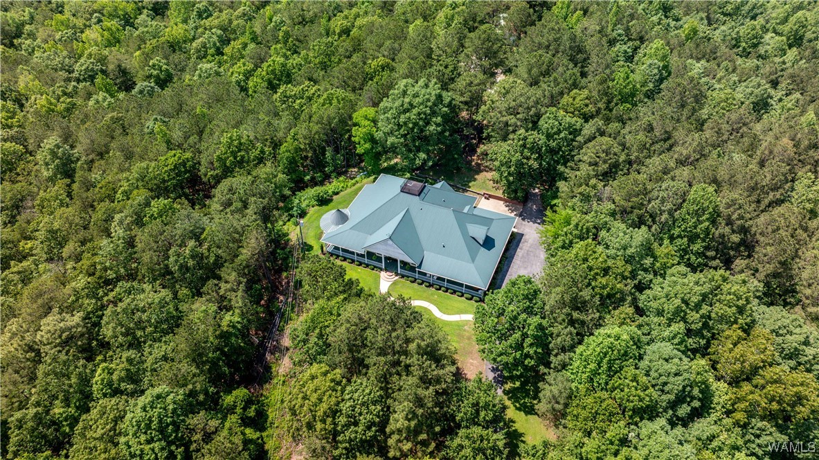 13447 Rocky Ridge Drive, North Port, Alabama image 1