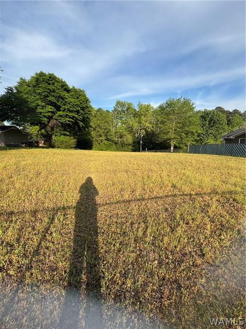 3820 37th Avenue Northport AL 35473