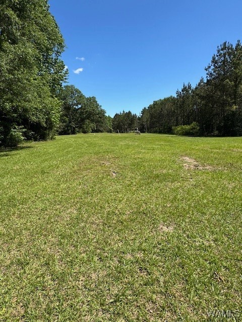 38960 Highway 69, Gallion, Alabama image 27