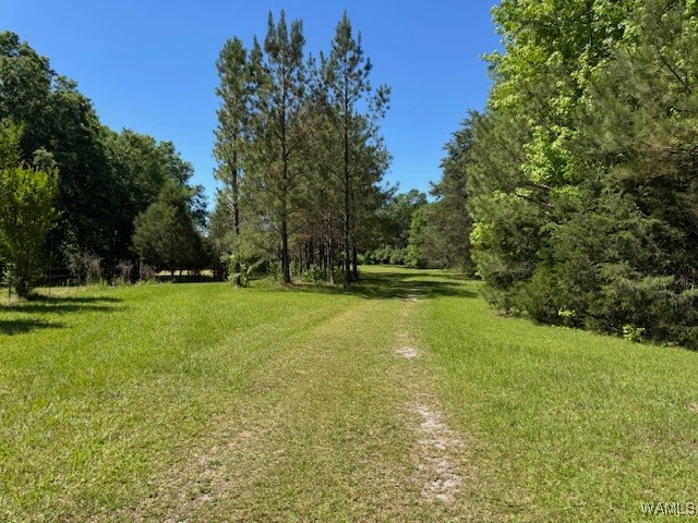38960 Highway 69, Gallion, Alabama image 36