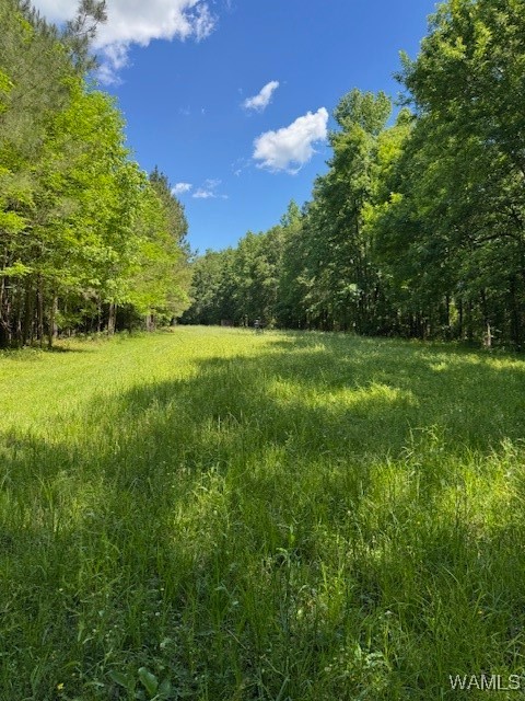 38960 Highway 69, Gallion, Alabama image 26