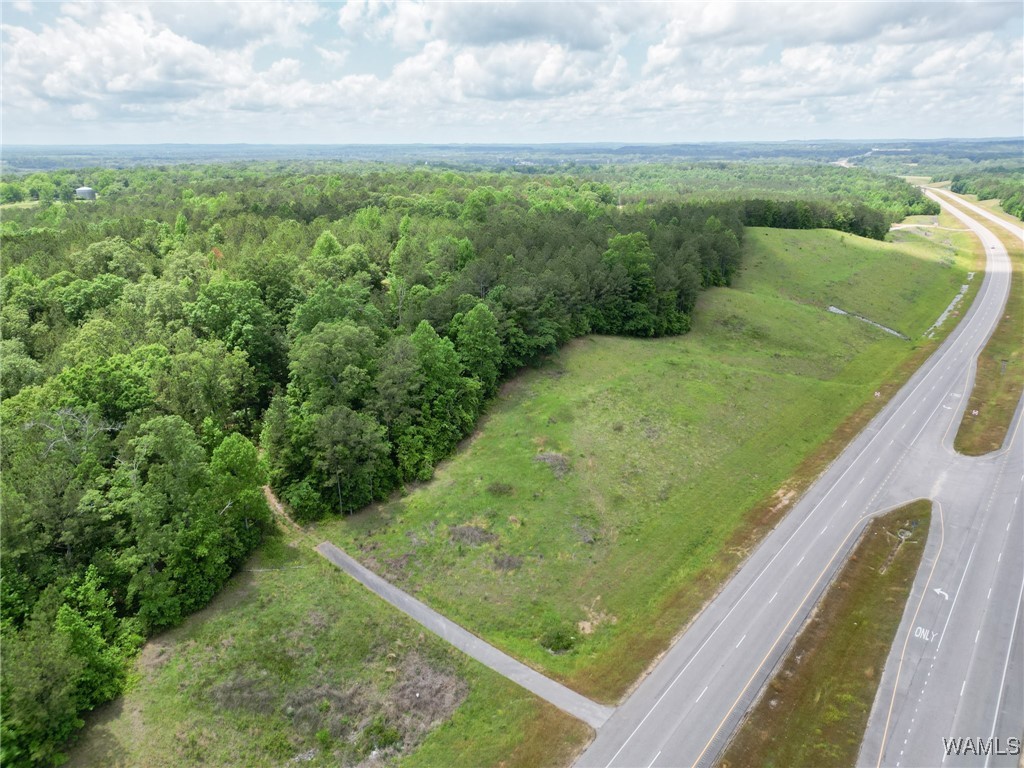 Highway 82, Centreville, Alabama image 24