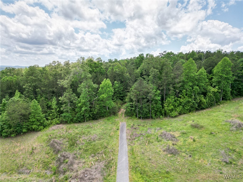 Highway 82, Centreville, Alabama image 21