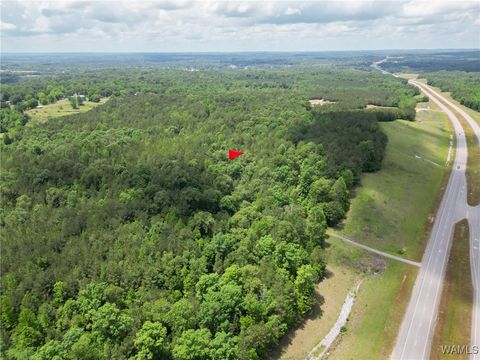 Vacant Land For Sale - Highway 82<br/> Centreville, AL 35042
