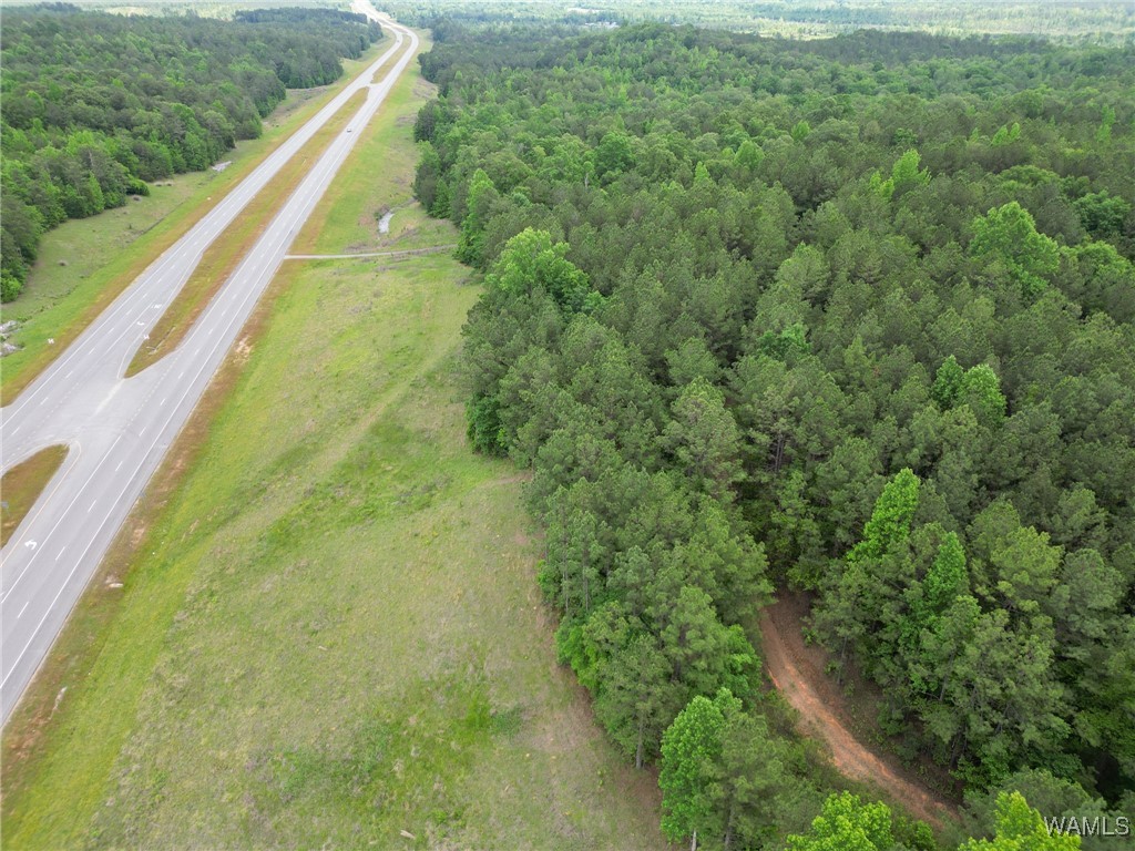 Highway 82, Centreville, Alabama image 15