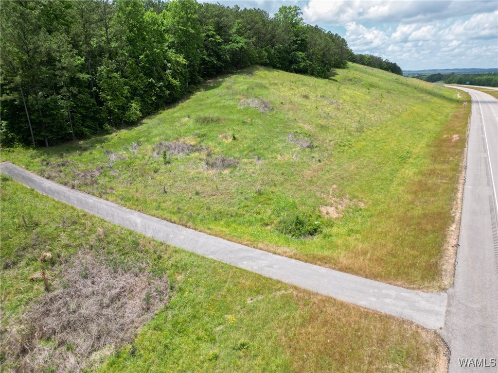 Highway 82, Centreville, Alabama image 25