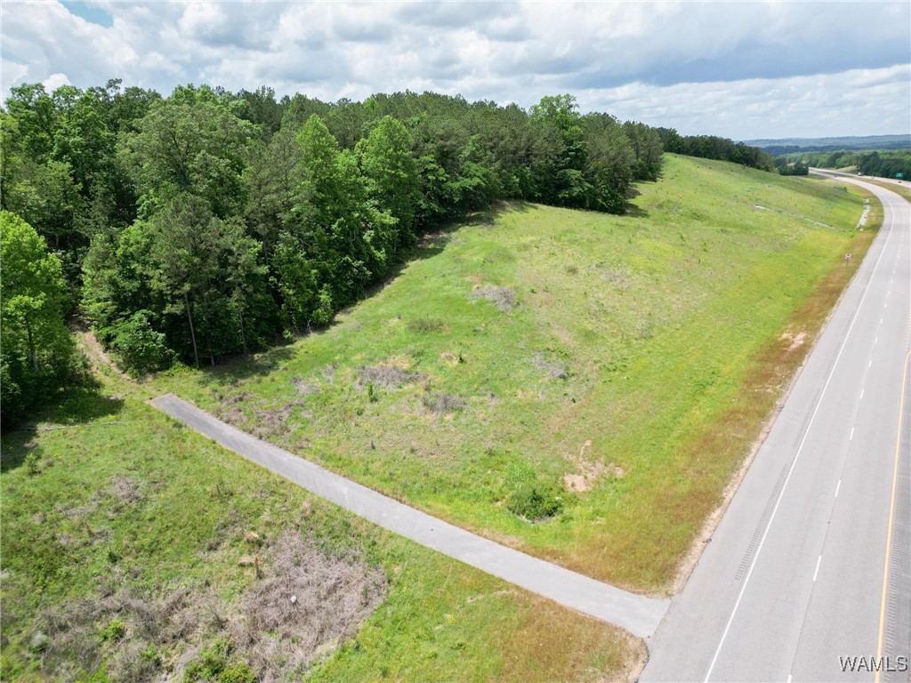Highway 82, Centreville, Alabama image 9