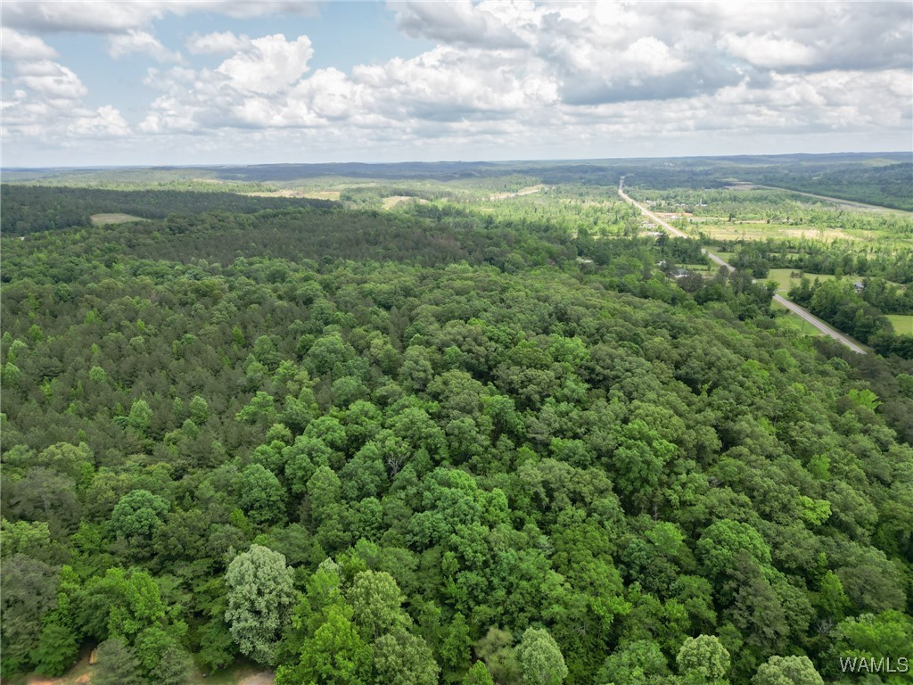 Highway 82, Centreville, Alabama image 33