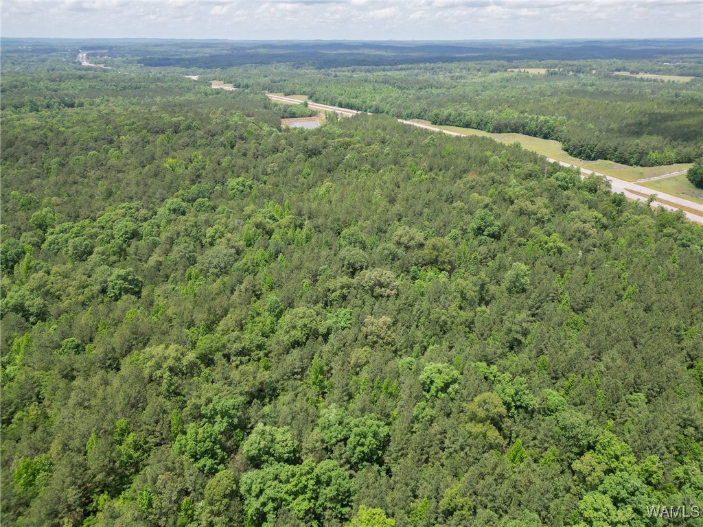 Highway 82, Centreville, Alabama image 5