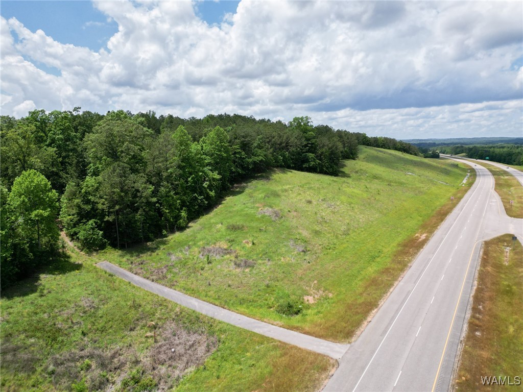 Highway 82, Centreville, Alabama image 10