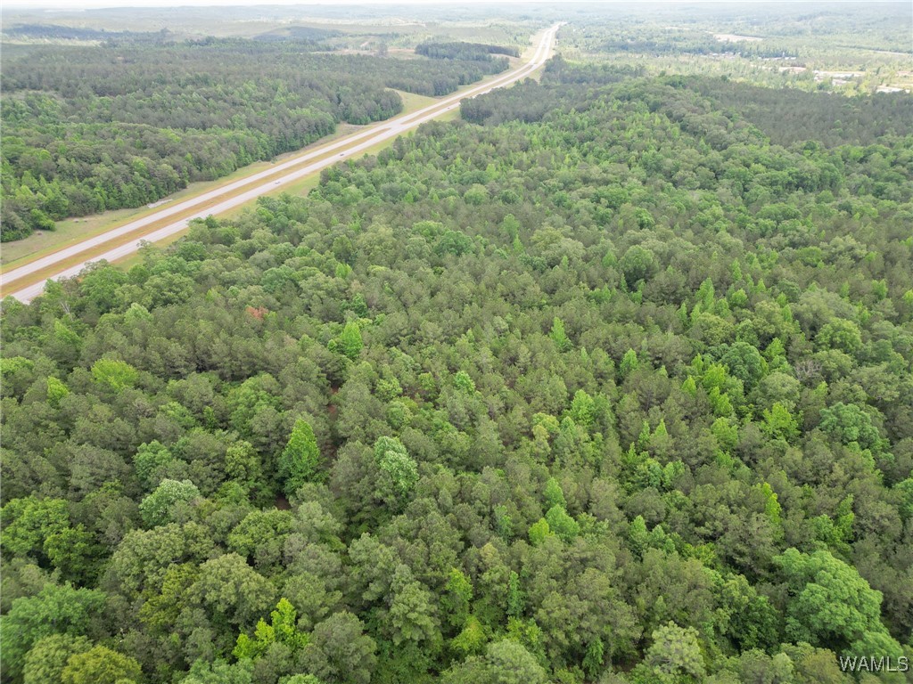 Highway 82, Centreville, Alabama image 18