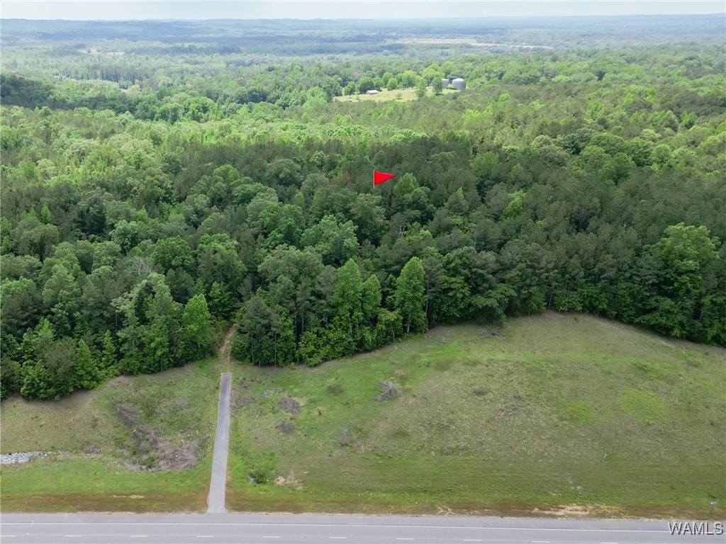 Highway 82, Centreville, Alabama image 2