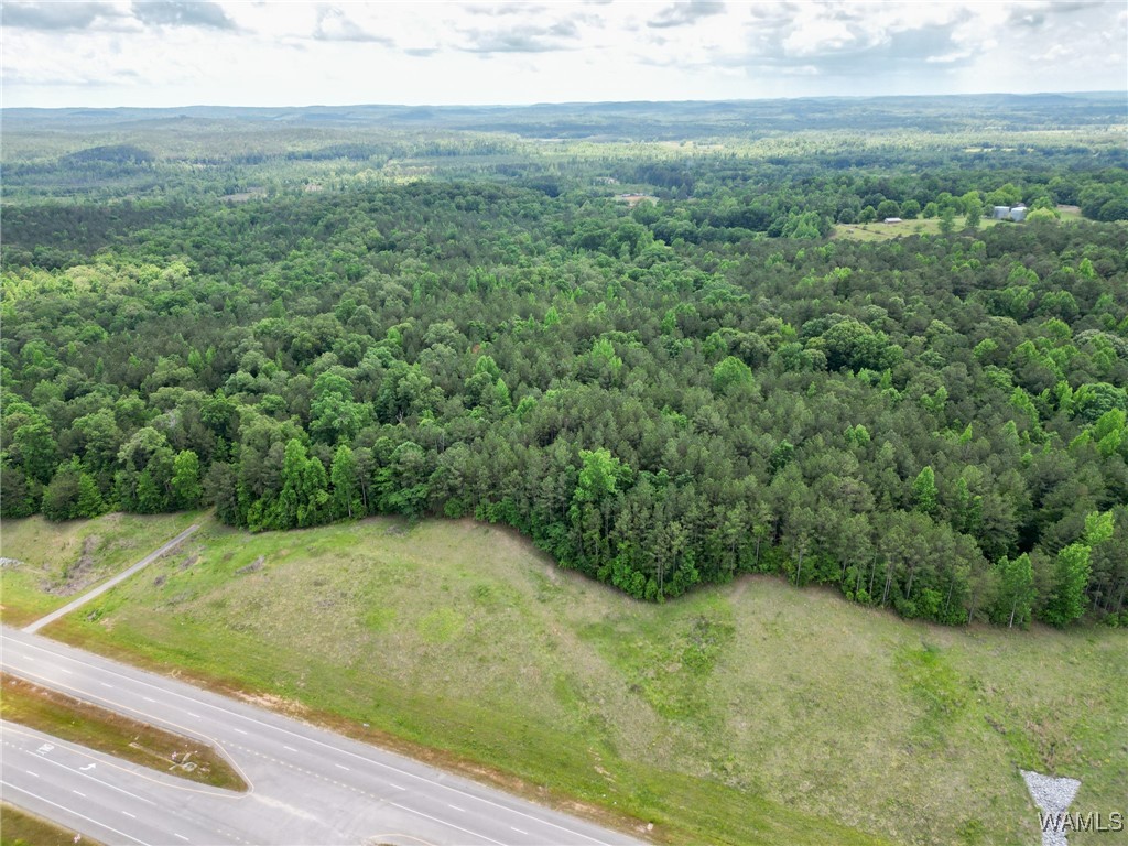 Highway 82, Centreville, Alabama image 12