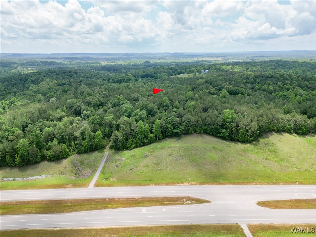 Highway 82, Centreville, Alabama image 11