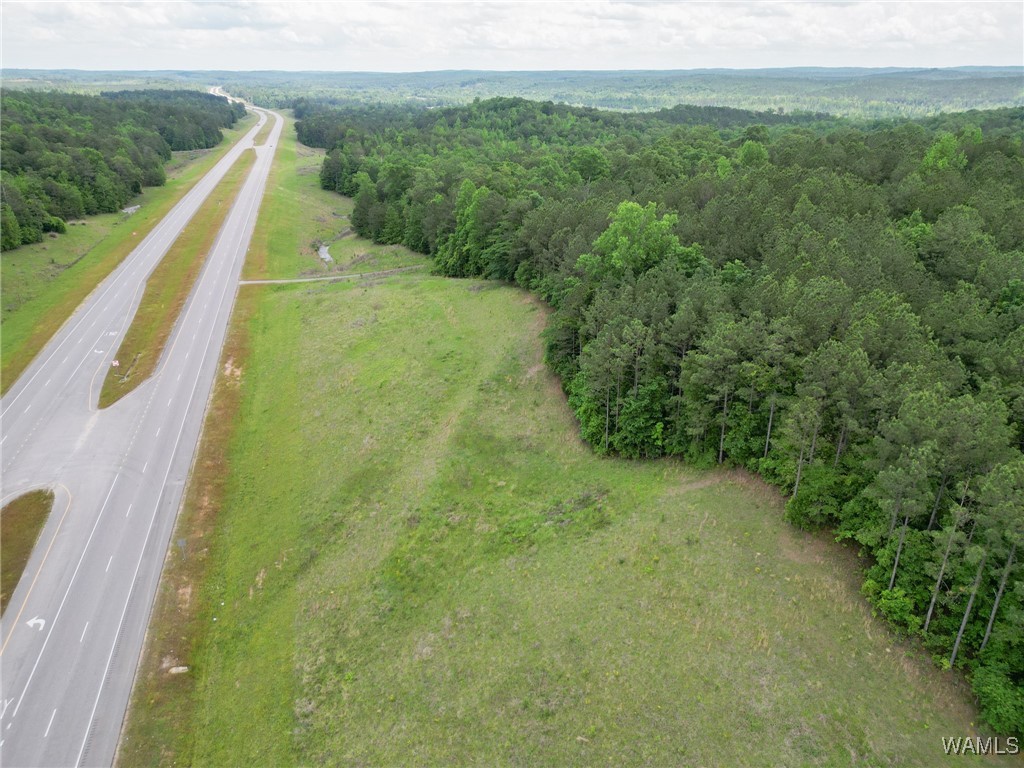 Highway 82, Centreville, Alabama image 16