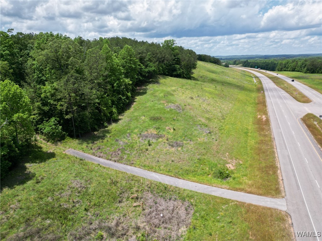 Highway 82, Centreville, Alabama image 8