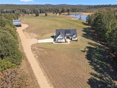 Vacant Land For Sale - 1952- County Road 52<br/> Hale County, Moundville, AL 35474