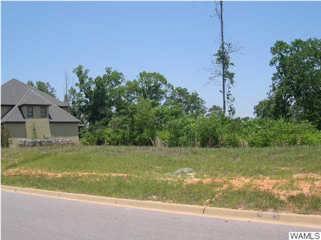 10001 Lakeside Drive #31, Tuscaloosa, Alabama image 1