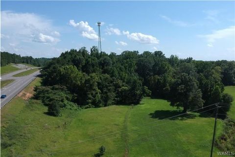 Vacant Land For Sale - 11771 Highway 69 S<br/> Tuscaloosa County, Tuscaloosa, AL 35405