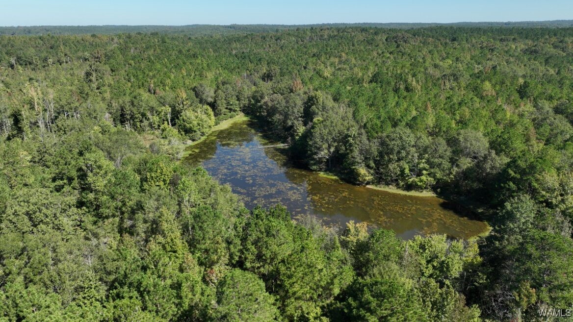 00006 Spring Road, Sweet Water, Alabama image 2