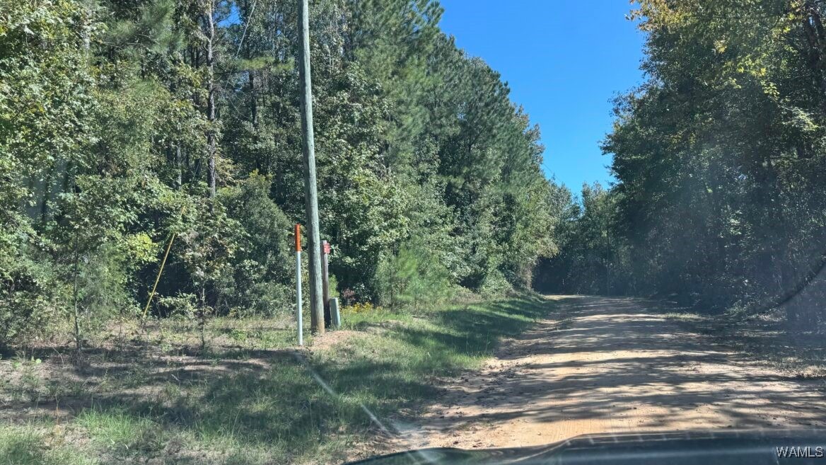 00006 Spring Road, Sweet Water, Alabama image 1