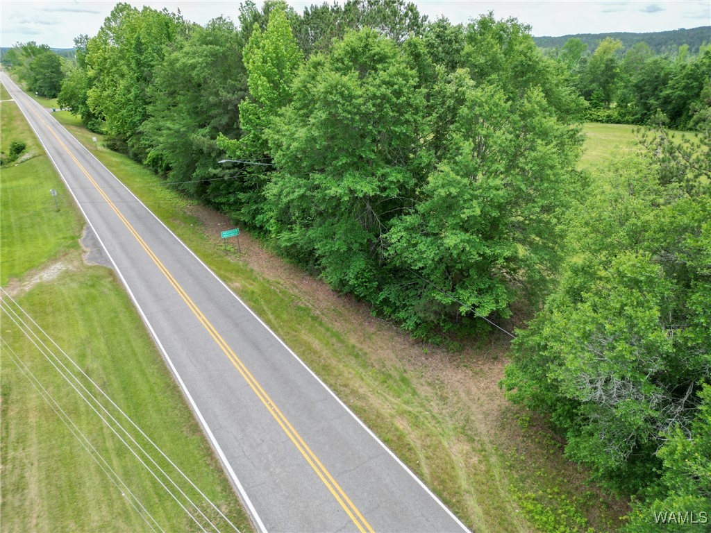 Montgomery Highway, Centreville, Alabama image 28