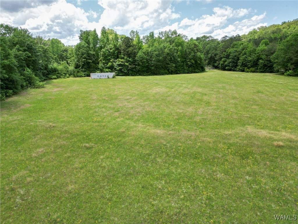 Montgomery Highway, Centreville, Alabama image 21