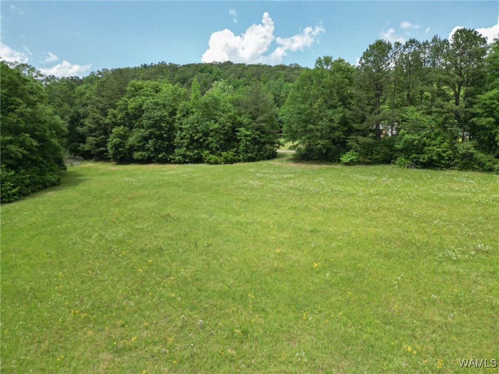 Montgomery Highway, Centreville, Alabama image 25