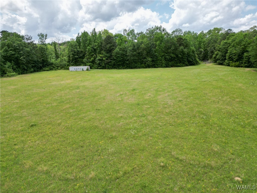 Montgomery Highway, Centreville, Alabama image 22