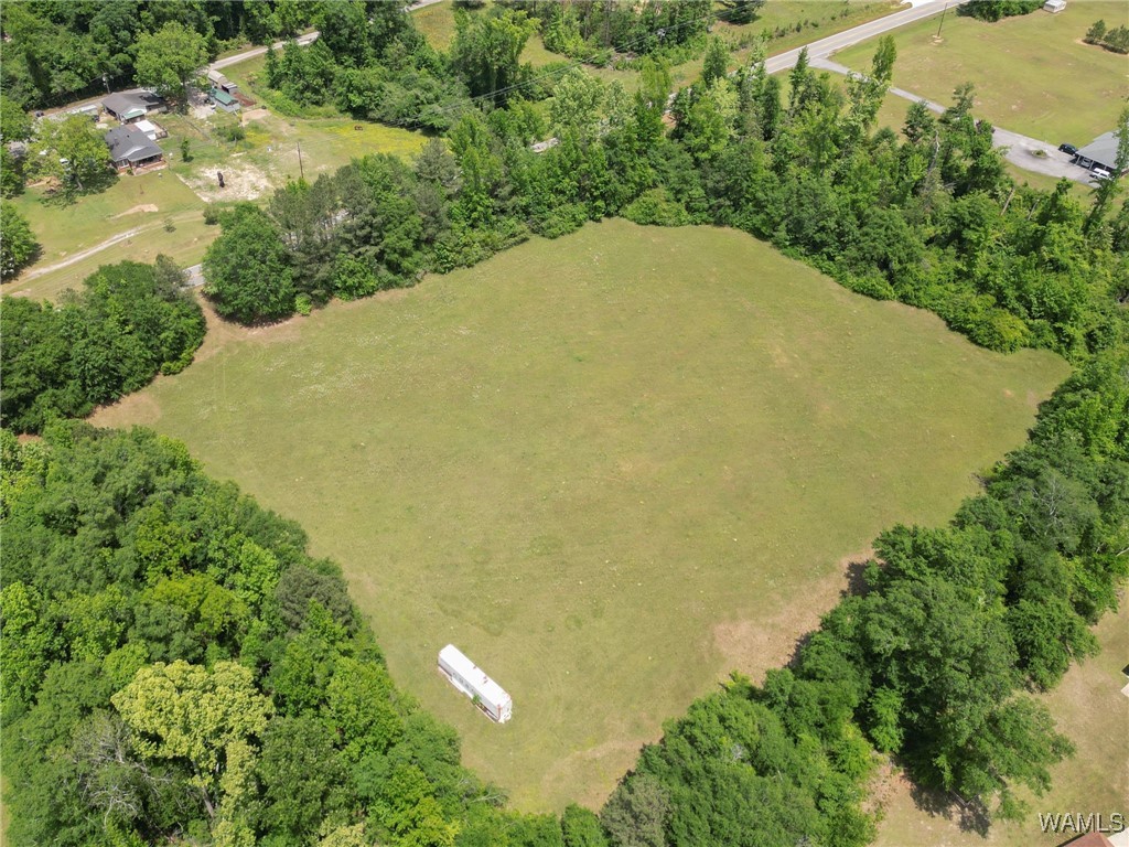 Montgomery Highway, Centreville, Alabama image 11