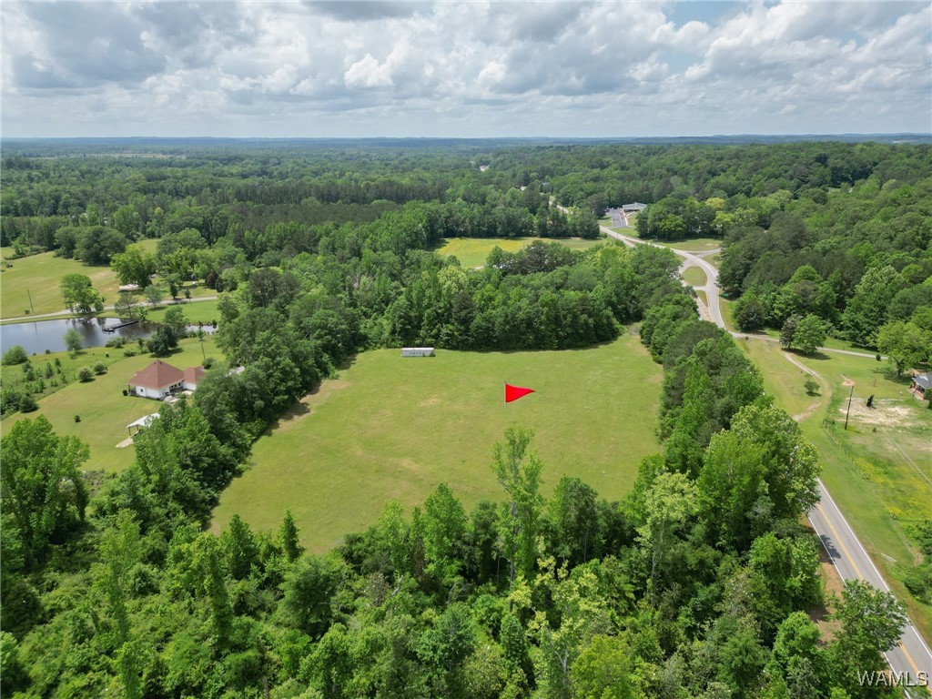 Montgomery Highway, Centreville, Alabama image 9