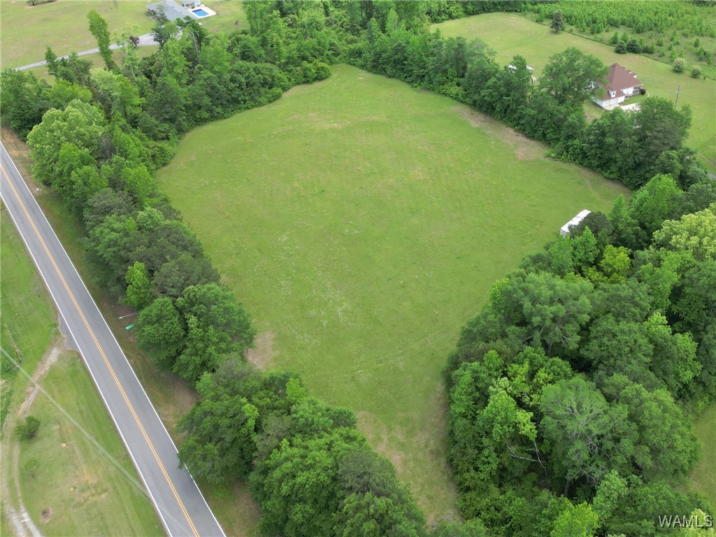 Montgomery Highway, Centreville, Alabama image 4