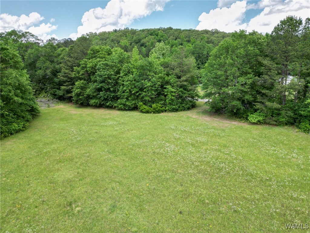 Montgomery Highway, Centreville, Alabama image 8