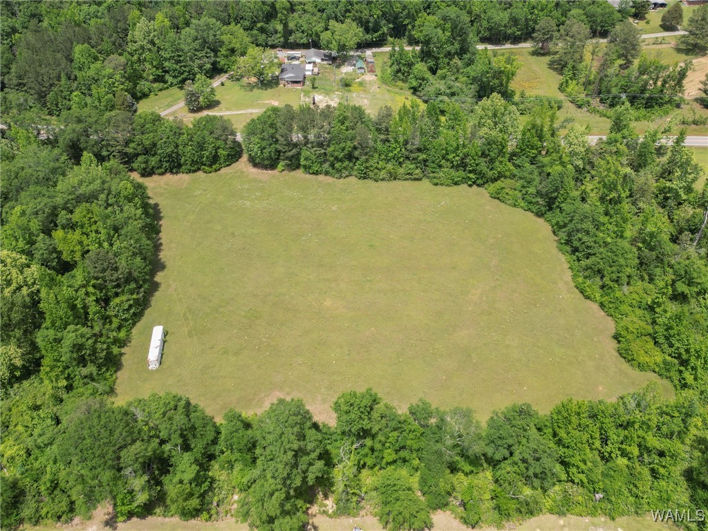 Montgomery Highway, Centreville, Alabama image 10