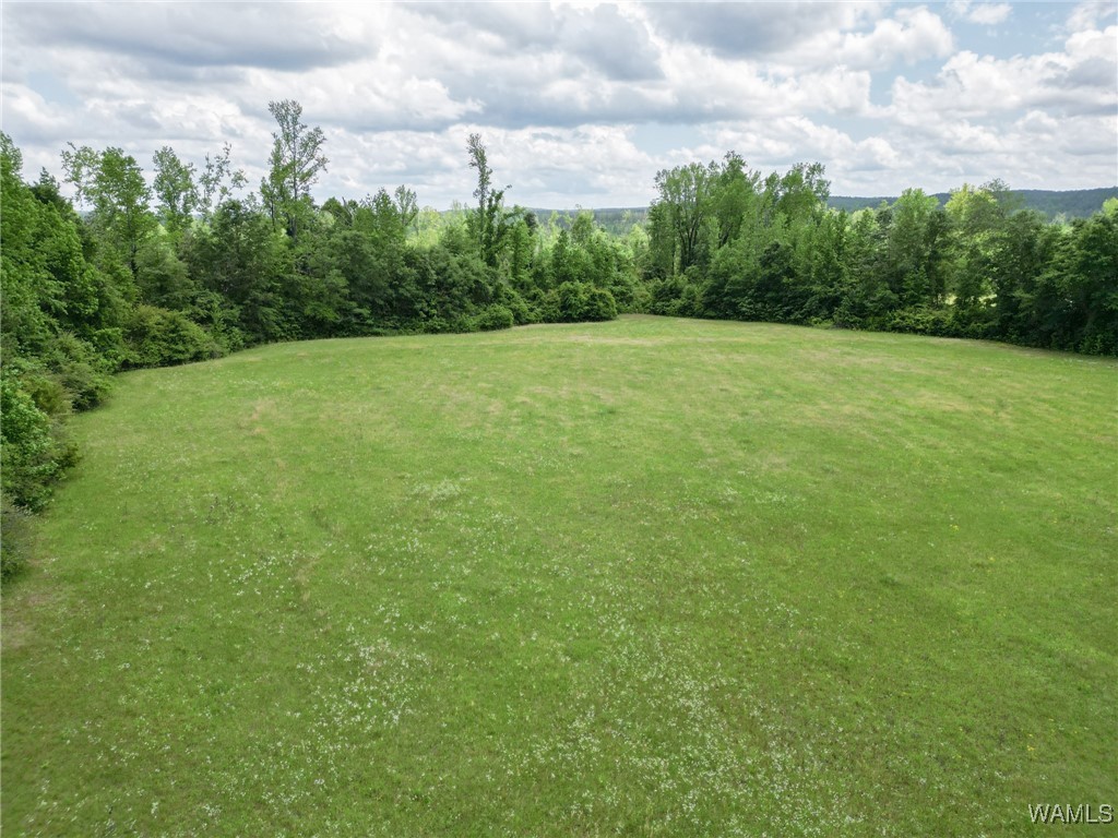 Montgomery Highway, Centreville, Alabama image 7